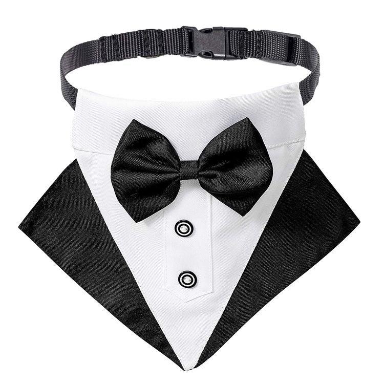 Säädettävä Tuxedo Wedding Dog Bandana -panta rusetilla